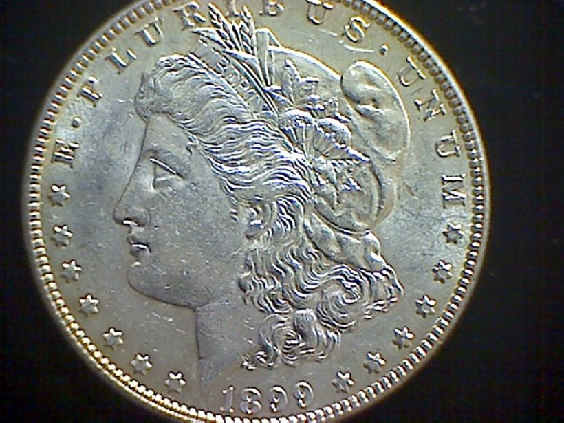 Grade-My-Morgans